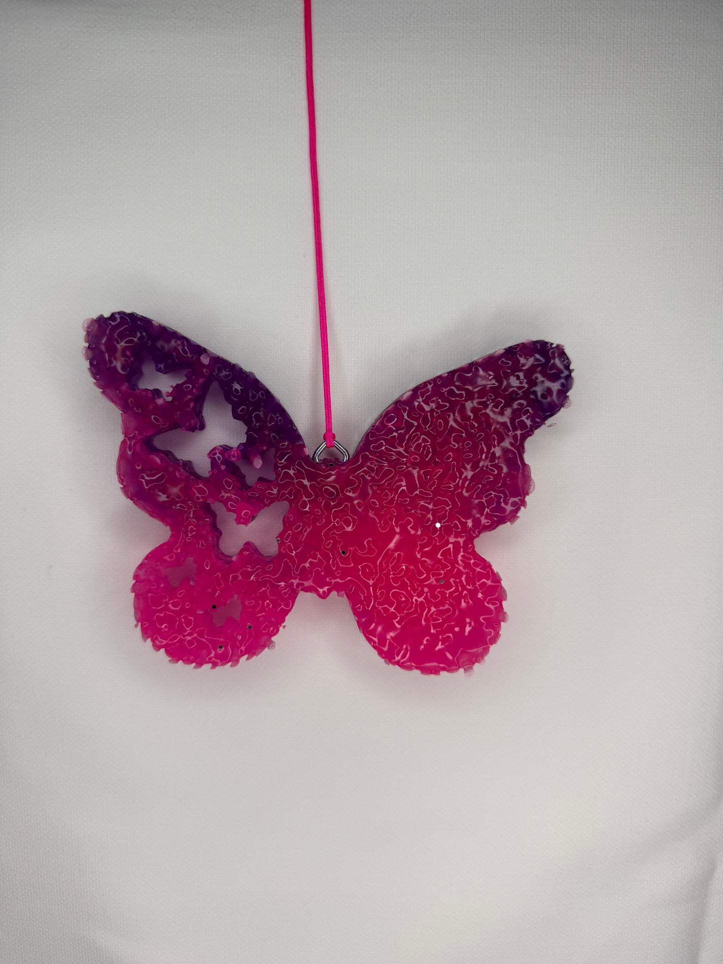 Ombre Butterfly in Pink sands