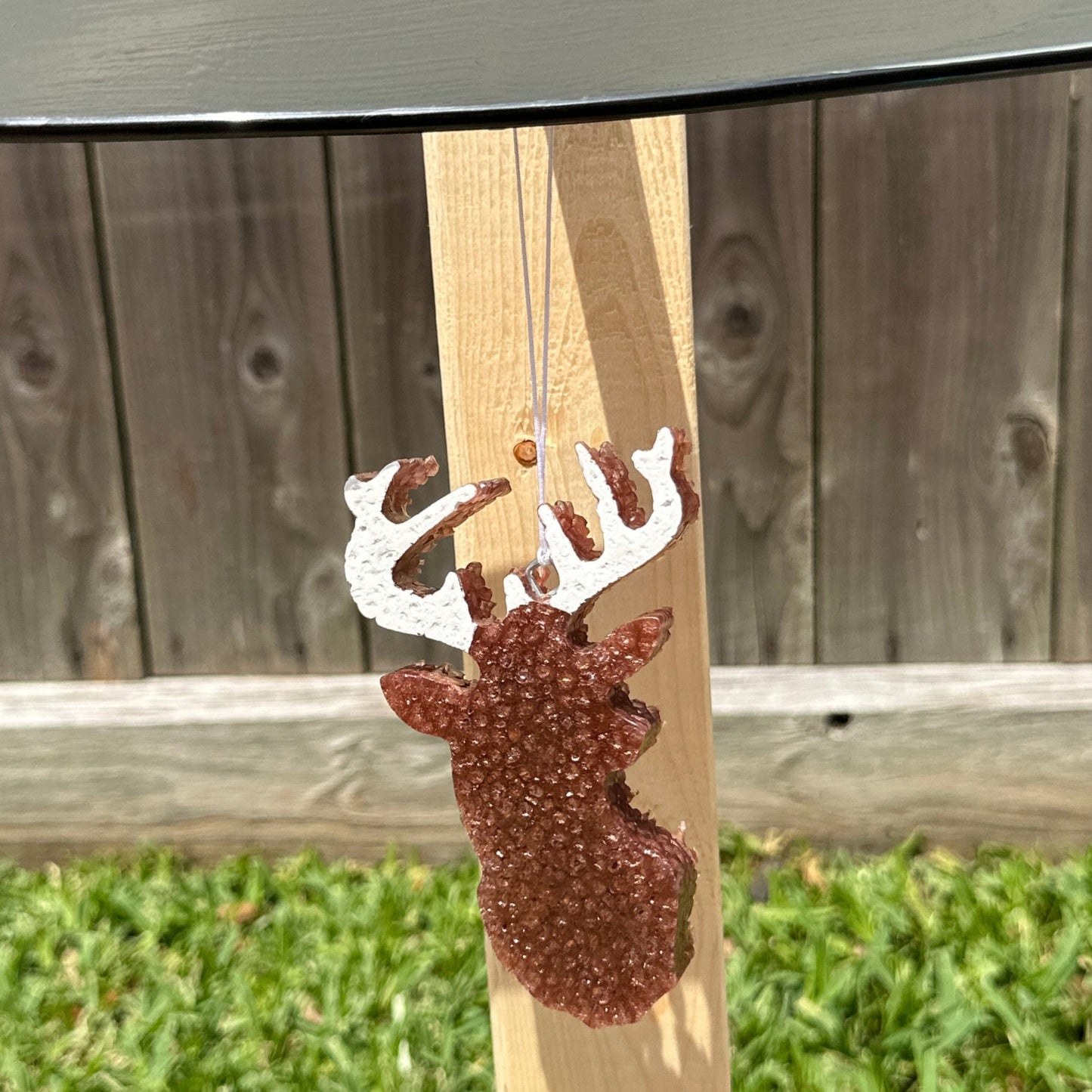 Deer Head